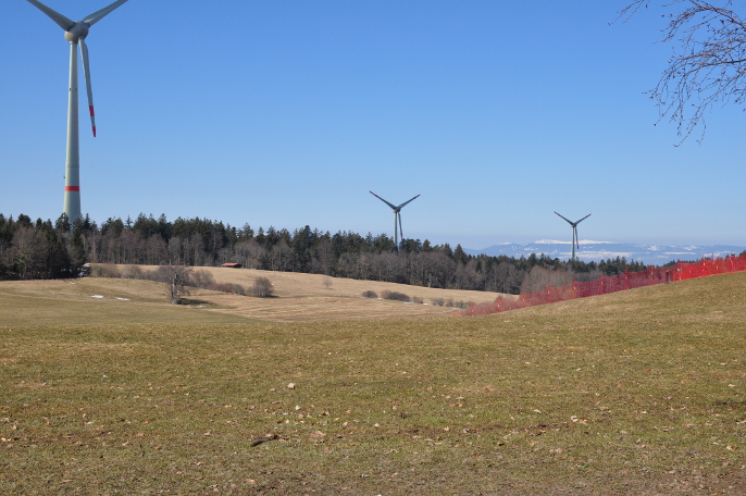 Vue du Chalet à Gobet. 